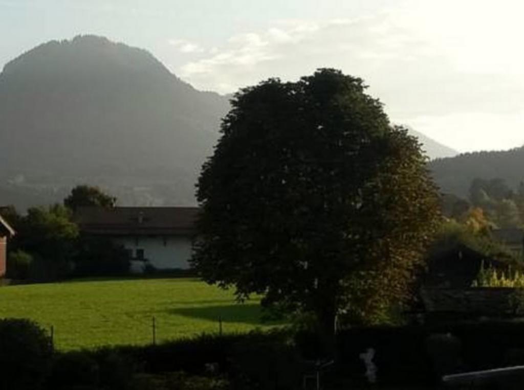 Hotel Alp Inn - Chiemgaukarte Inclusive Ruhpolding Dış mekan fotoğraf