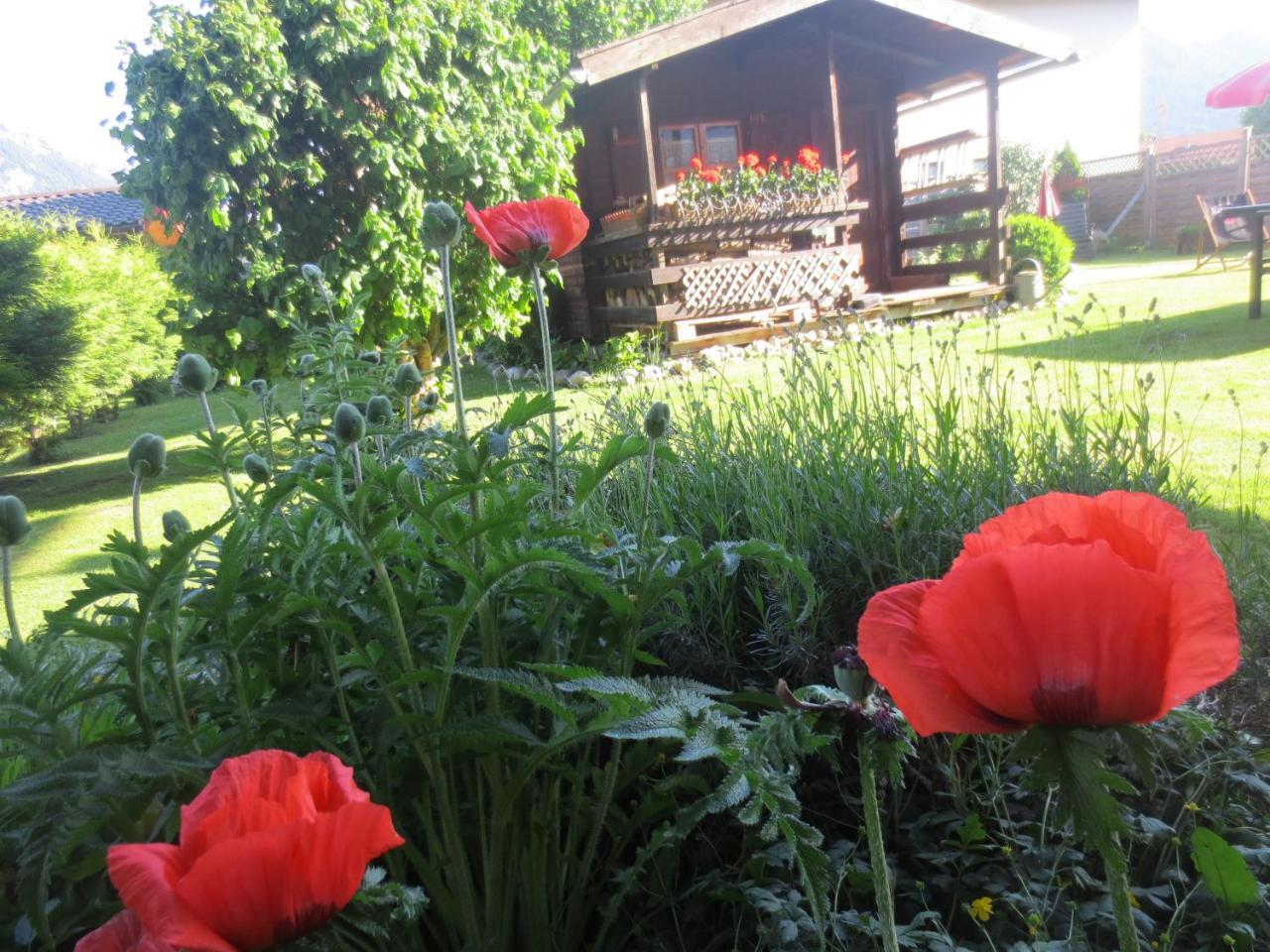 Hotel Alp Inn - Chiemgaukarte Inclusive Ruhpolding Dış mekan fotoğraf