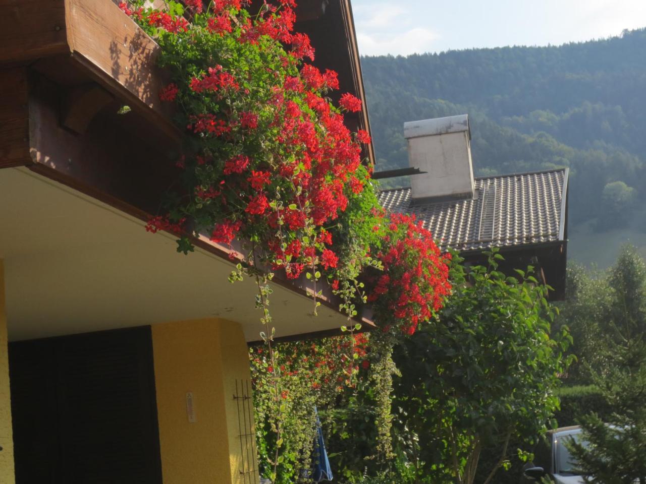 Hotel Alp Inn - Chiemgaukarte Inclusive Ruhpolding Dış mekan fotoğraf